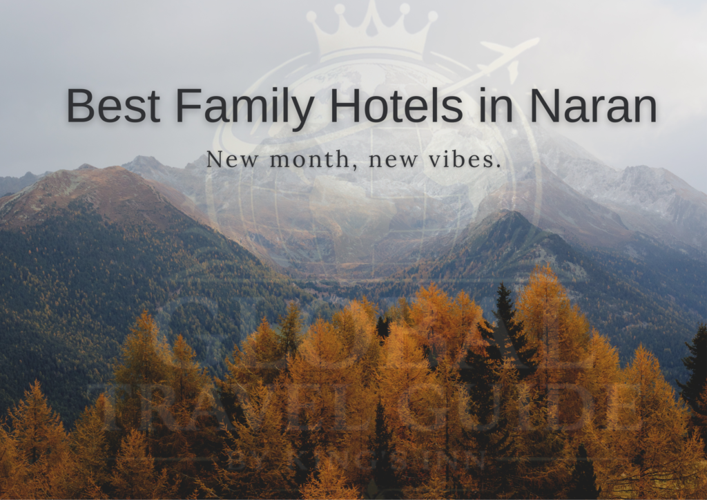 Best Family Hotels in Naran